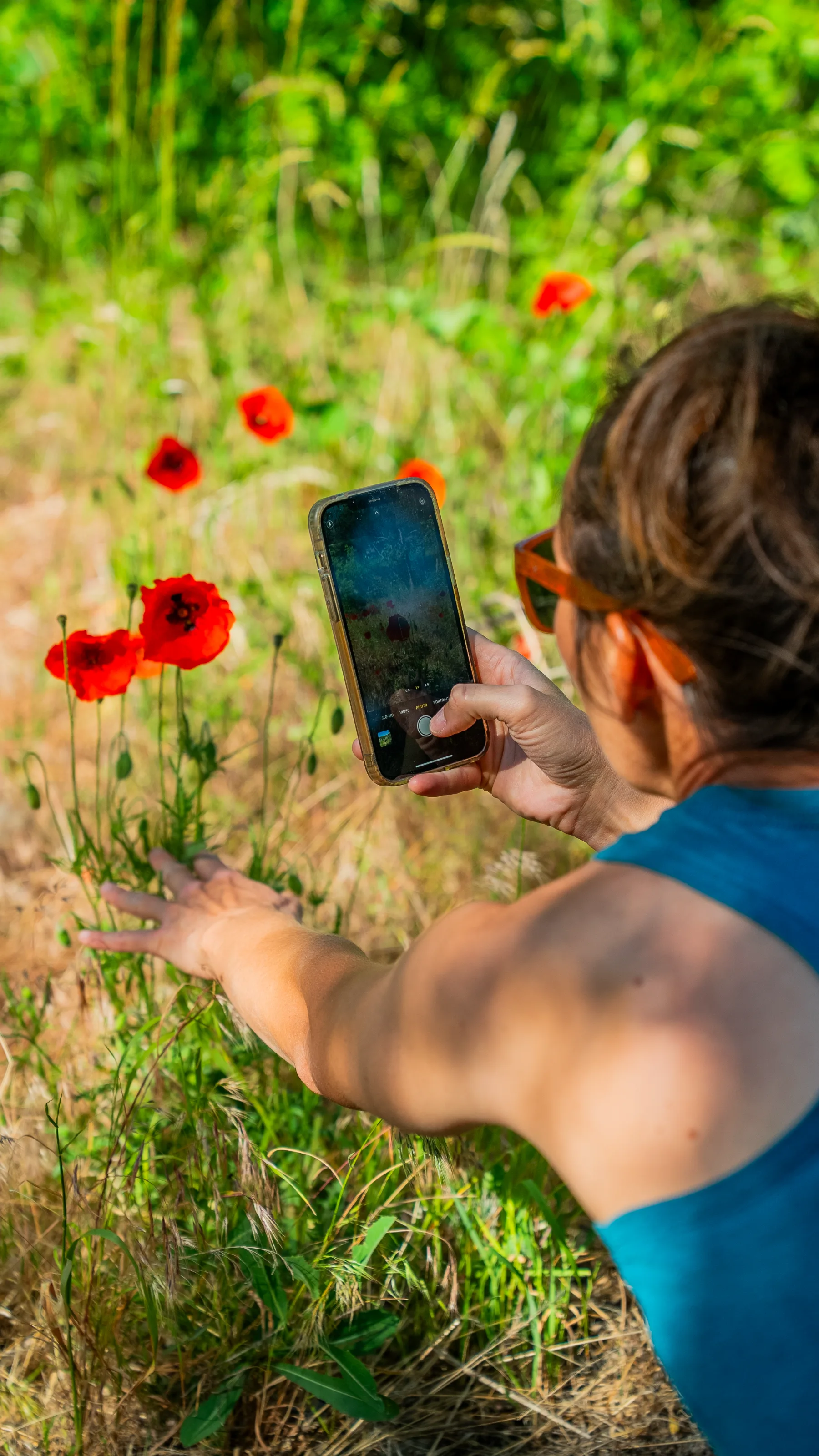Photographing poppies on Rock Hill Trail